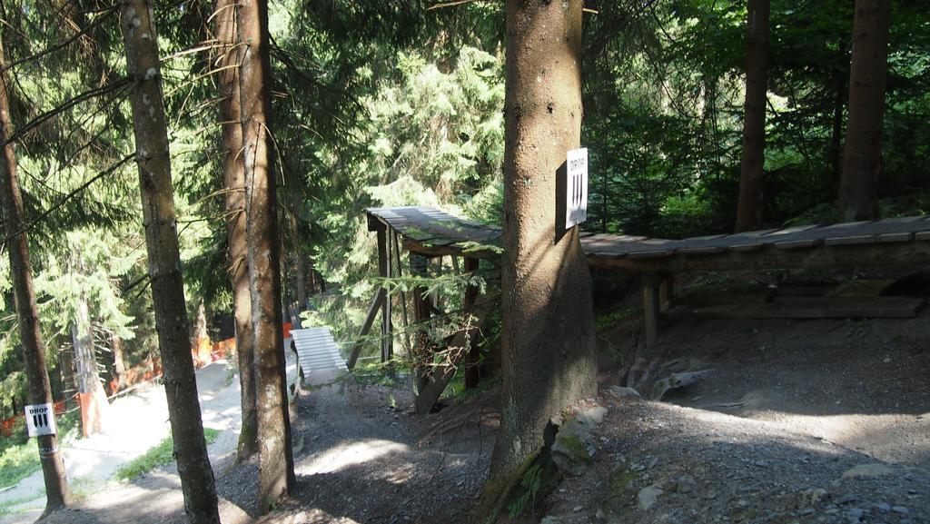 Alpin Lodge Leogang By Alpin Rentals Δωμάτιο φωτογραφία