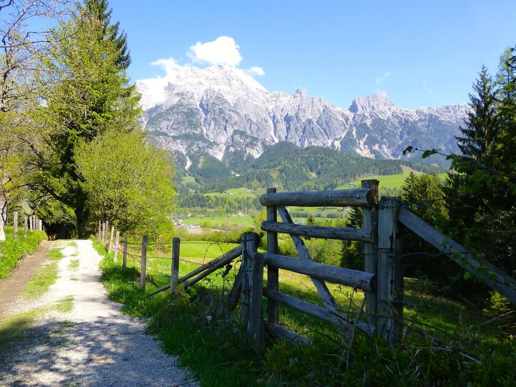 Alpin Lodge Leogang By Alpin Rentals Δωμάτιο φωτογραφία