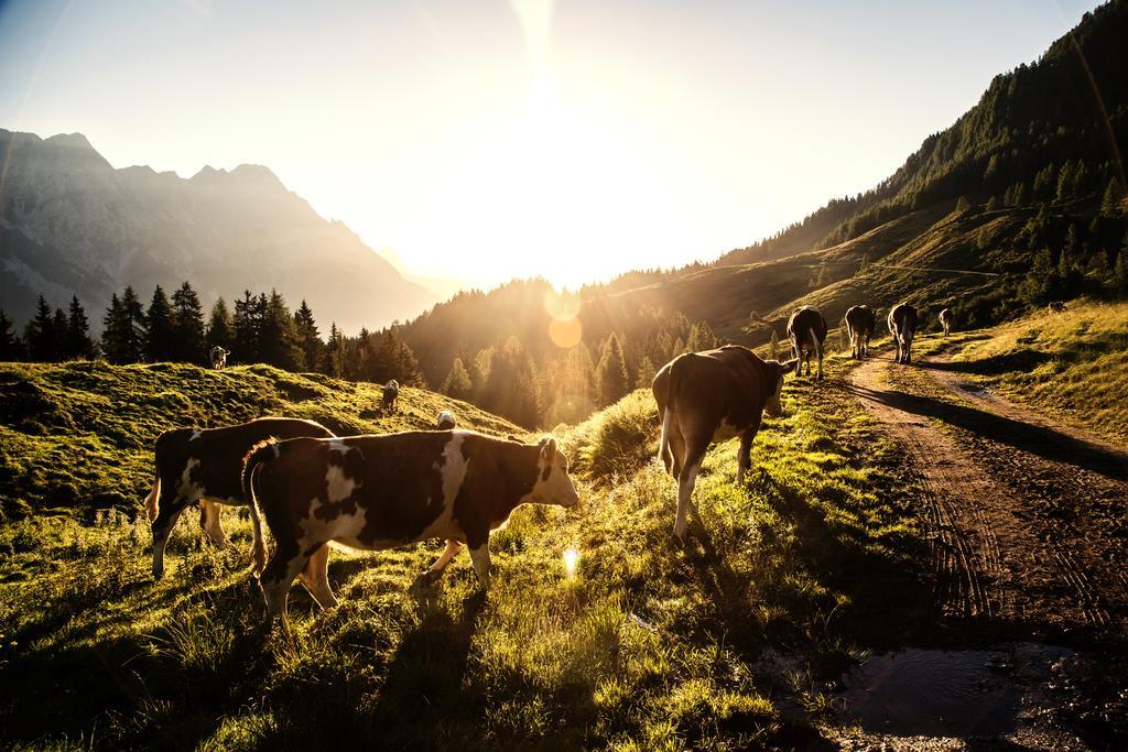 Alpin Lodge Leogang By Alpin Rentals Εξωτερικό φωτογραφία